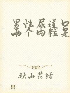 男性尿道口长了两个肉粒是怎么回事