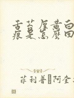 舌苔厚黄白有齿痕是怎么回事