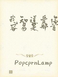 我知道爱你并不容易是哪首歌的歌词