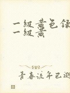 一级黄色录像之一级黄