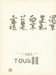 舌苔白是湿气重还是寒气重