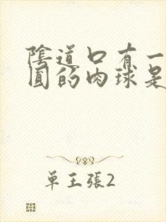 阴道口有一个圆圆的肉球是什么