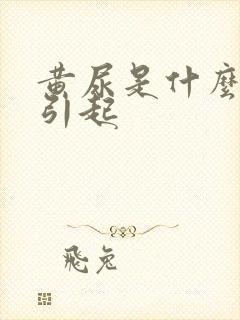 黄尿是什么原因引起