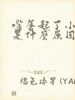 嘴唇起了小水泡是什么原因造成的