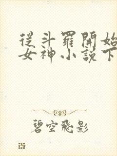 从斗罗开始俘获女神小说下载