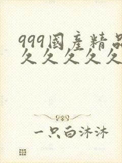 999国产精品久久久久久