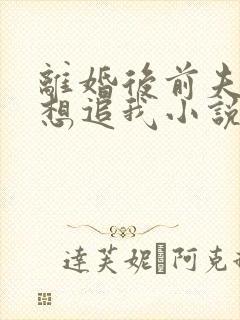 离婚后前夫总是想追我小说完整版