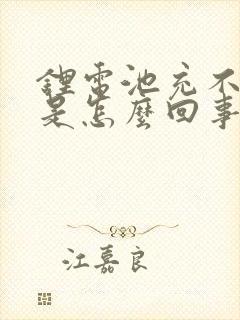 锂电池充不进电是怎么回事