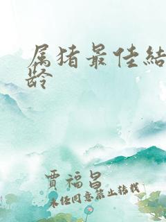 属猪最佳结婚年龄