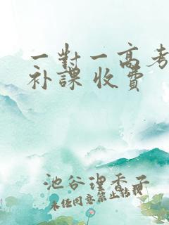 一对一高考日语补课 收费