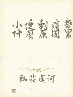 小便刺痛带血是什么原因男性