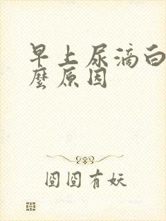 早上尿滴白是什么原因