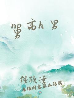 np 高h 男男