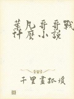 叶凡哥哥战死是什么小说