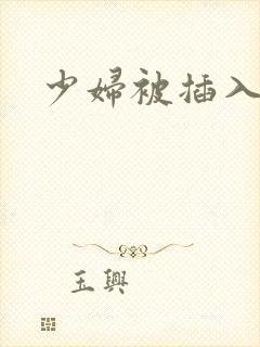 少妇被插入高潮