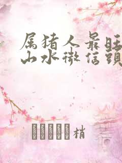 属猪人最旺财的山水微信头像