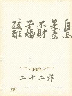 孩子不是自己的离婚财产怎么分配