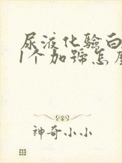 尿液化验白细胞1个加号怎么回事