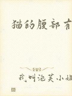 猫的腹部有硬块