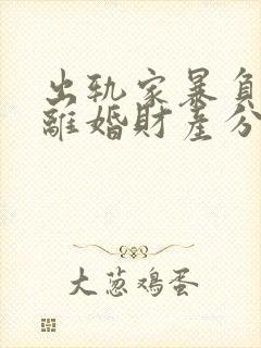 出轨家暴负资产离婚财产分割