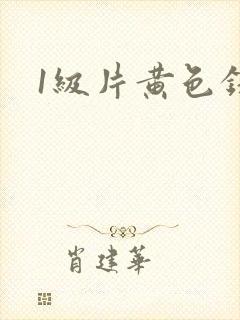 1级片黄色录像