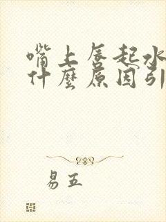 嘴上唇起水泡是什么原因引起的