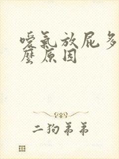 嗳气放屁多是什么原因