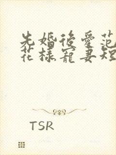 先婚后爱范总的花样宠妻短剧