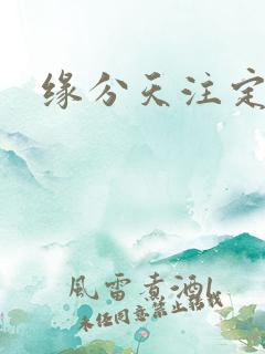 缘分天注定泰剧