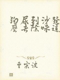 狗尿到沙发上怎么去除味道