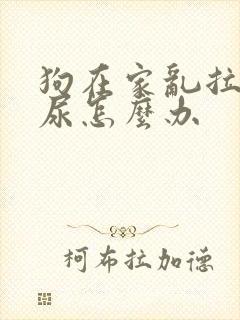 狗在家乱拉屎拉尿怎么办