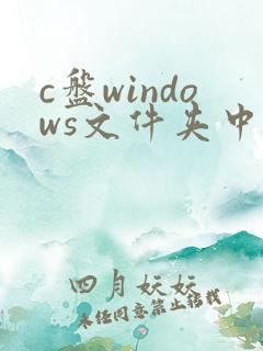 c盘windows文件夹中的哪些文件可以删