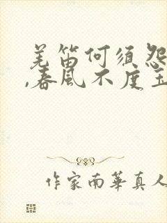 羌笛何须怨杨柳,春风不度玉门关意思