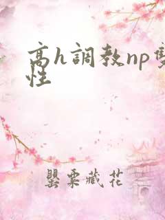 高h调教np双性