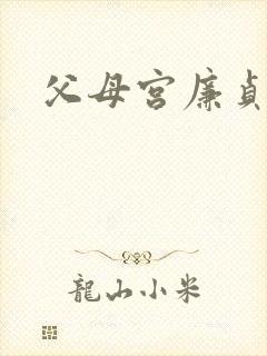 父母宫廉贞贪狼