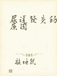 尿道发炎的根本原因