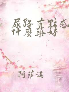 尿路有点感染吃什么药好