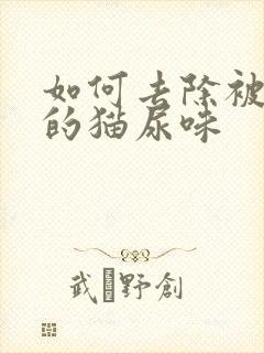 如何去除被子上的猫尿味