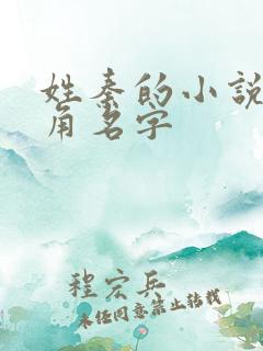 姓秦的小说男主角名字