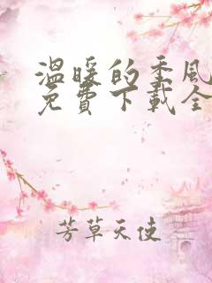 温暖的季风小说免费下载全文