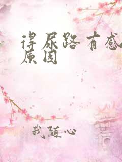 得尿路有感染的原因