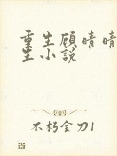 重生顾晴晴的重生小说