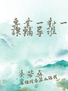 专业一对一英语课辅导班