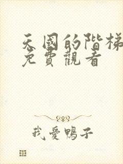 天国的阶梯国语免费观看