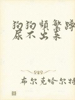 狗狗频繁蹲下又尿不出来