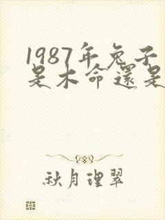 1987年兔子是木命还是火命