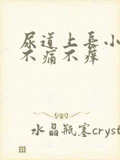 尿道上长小肉芽不痛不痒