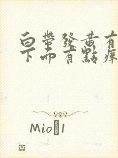 白带发黄有恶臭下面有点痒