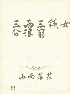 三两三钱女命老公很穷