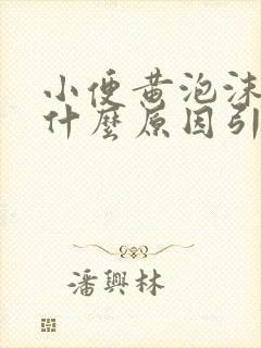 小便黄泡沫多是什么原因引起的